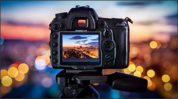 What to Do at Venice Beach: Enjoying the Iconic California Shore