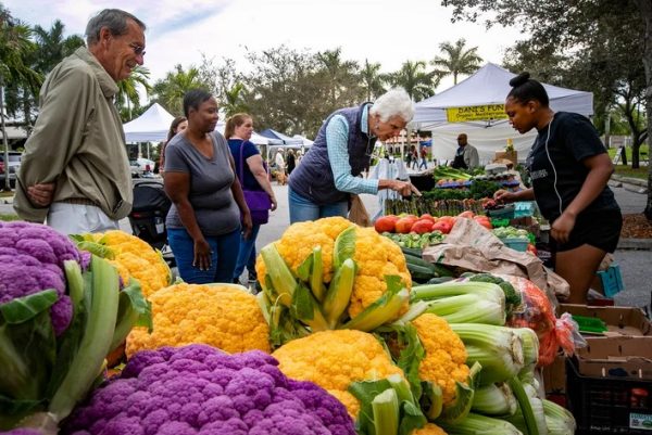 Greentree Farmers Market: A Fresh Oasis in Pittsburgh