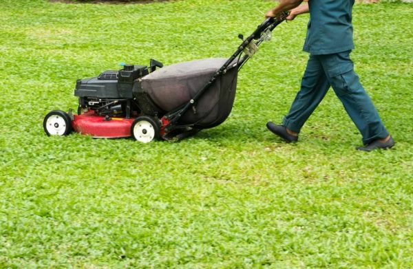 Lawn Care Business Names Ideas: Crafting a Green Brand
