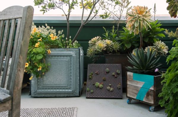 Decorative Planter Holders: Stylish Containers for Your Plants